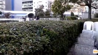 会所王子藤少啪啪